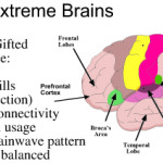Extreme Brains